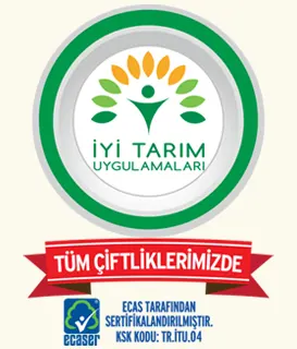 Beypiliç İyi Tarım Sertifikası – Kaynaşlı Düzce üretiminde çevreye duyarlı ve güvenilir tarım uygulamaları belgesi